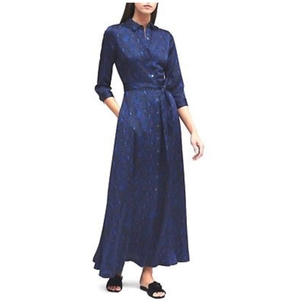 Banana Republic Snakeskin Maxi Dress